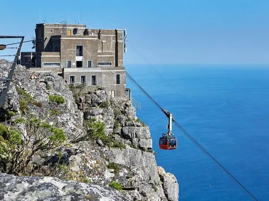 Cape Town Table Mountain, Kirstenbosch, and Constantia Tour