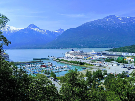 Yukon Suspension Bridge and Summit Excursion
