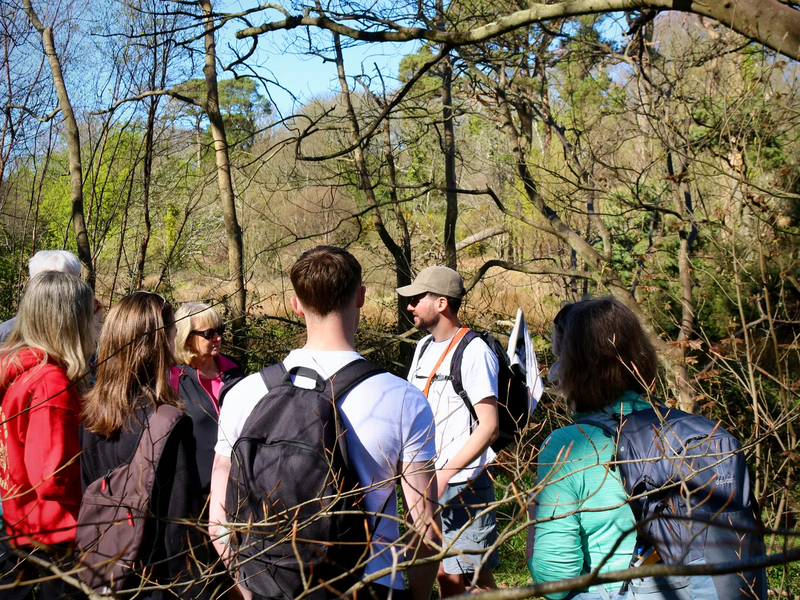 Experience Image