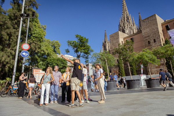 Barcelona Guided Walking Tour: Gothic Quarter, and El Born