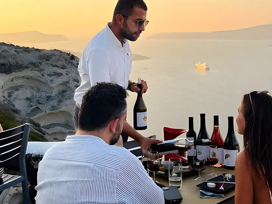 Private Wine Tour to 3 Wineries with Tastings and Tapas