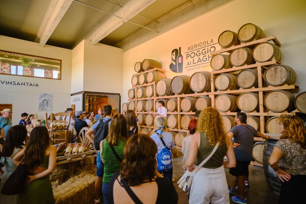 Chianti Wine Region Day Trip With Wine Tasting
