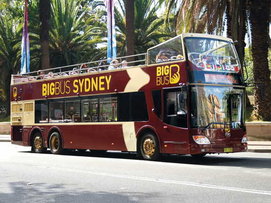 Sydney 24-Hour Big Bus Hop-On, Hop-Off Tour