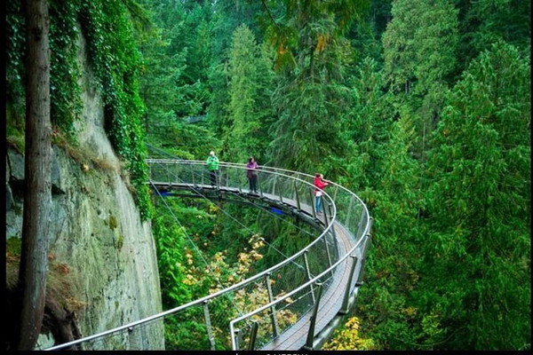Private Full-Day Tour of Vancouver City