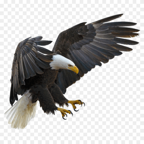 Experience Image