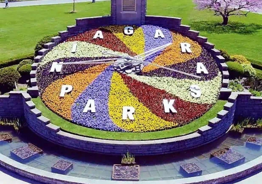 Experience Image