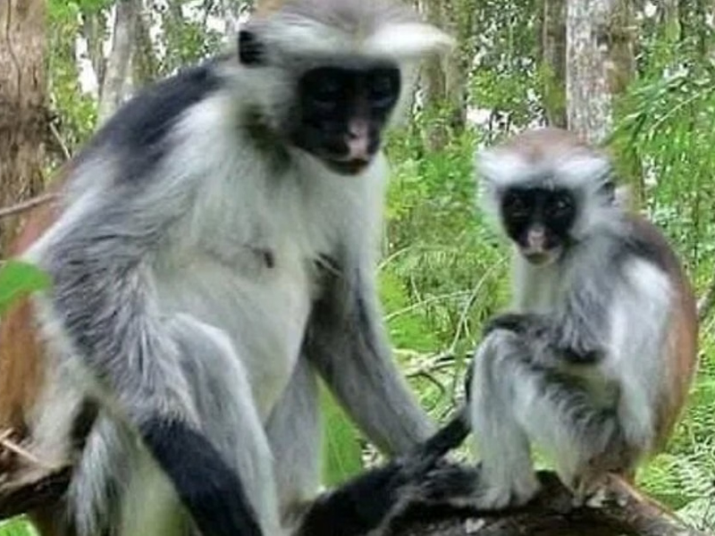 Experience Image