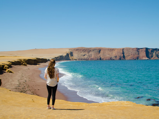 Ballestas Islands and Paracas Reserve Private Expedition