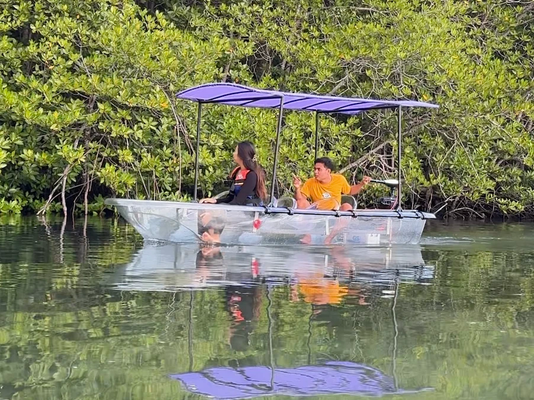 Discover Mangrove Forest Tour by Transparent Boat