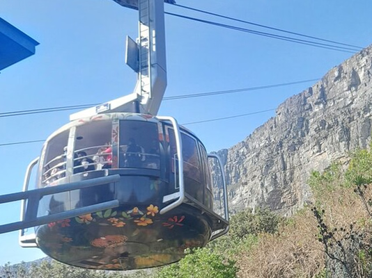 Table Mountain Botanical Garden with Wine Tasting at Groot Constantia