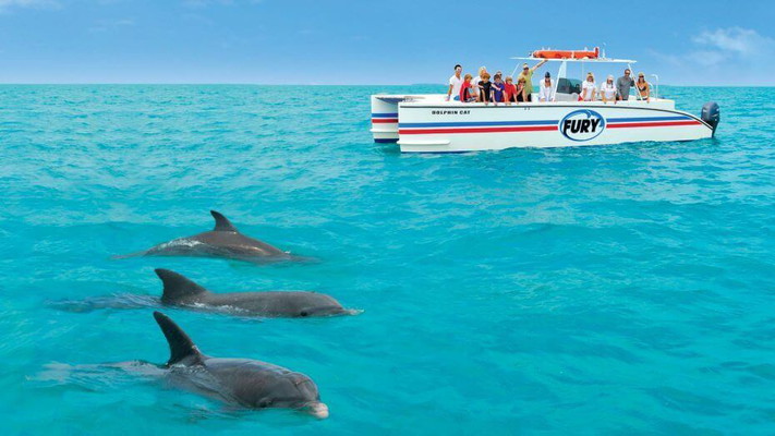 Key West Tour, Dolphin Watch, and Snorkeling Trip