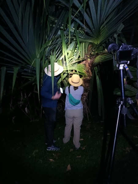Experience Image