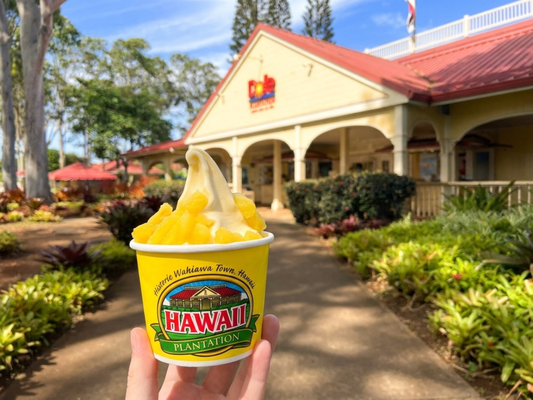 Dole Plantation, and Rum Distillery Afternoon Tour