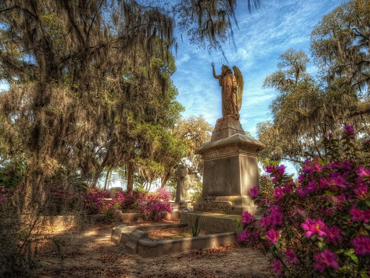 Bonaventure Cemetery Tour
