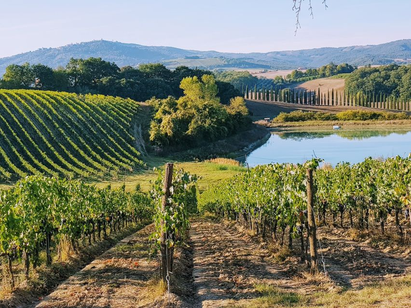Experience Image