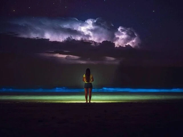 Grand Cayman Bioluminescence Tour