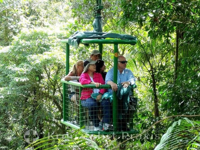 Veragua Rainforest Tram and Tortuguero Canal Tour