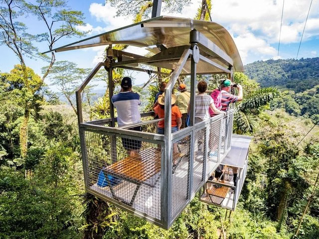 Veragua Rainforest Tram and Tortuguero Canal Tour