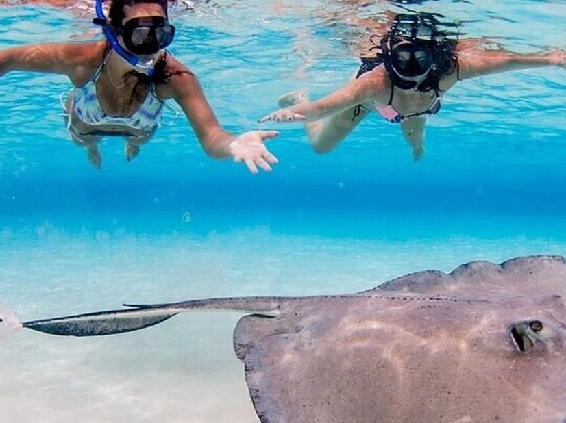 Stingray City Sandbar Tour