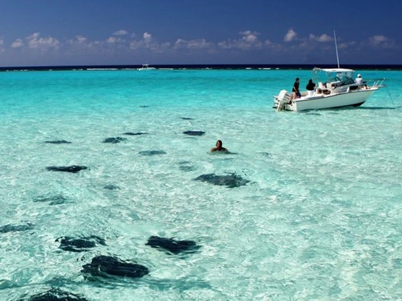 Stingray City Sandbar Tour
