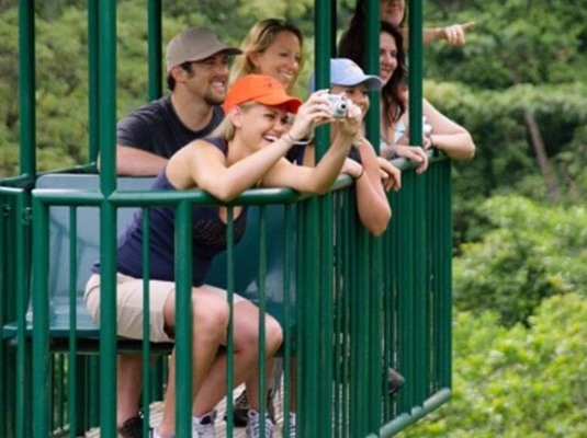 Aerial Tram and High Ropes Rainforest Tour