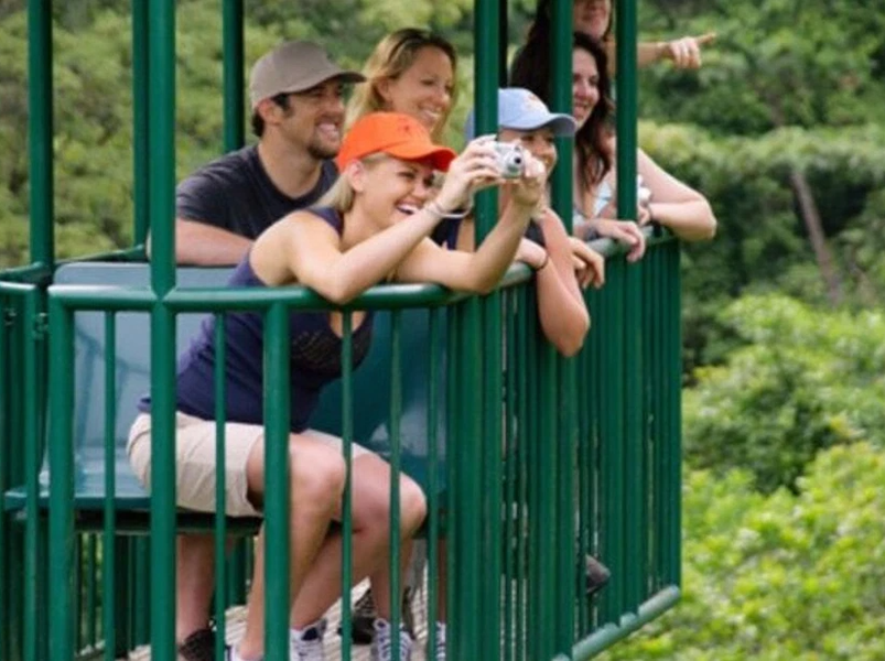 Aerial Tram and High Ropes Rainforest Tour