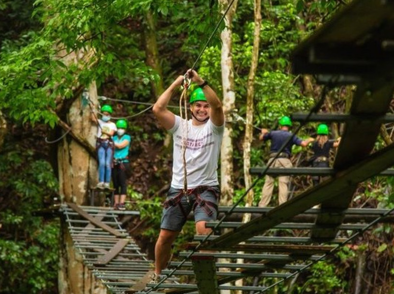 Aerial Tram and High Ropes Rainforest Tour