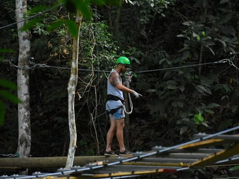 Aerial Tram and High Ropes Rainforest Tour