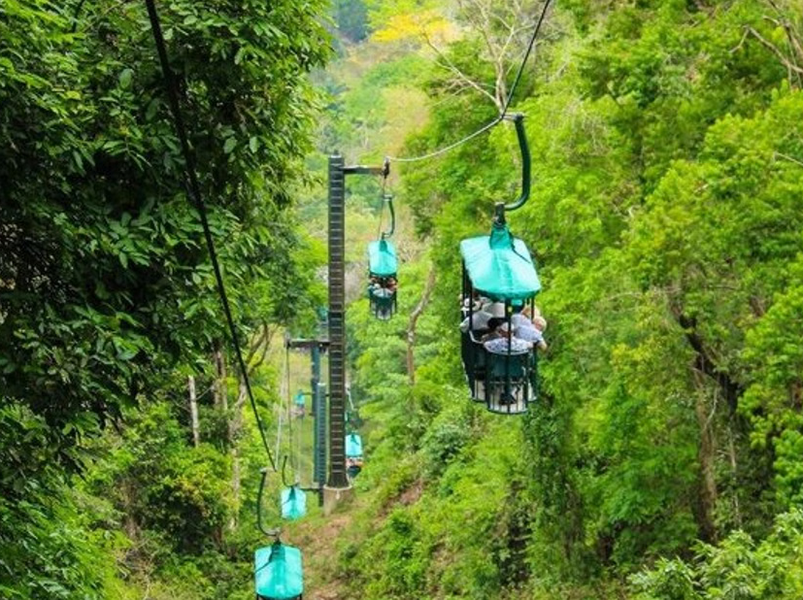 Aerial Tram and High Ropes Rainforest Tour