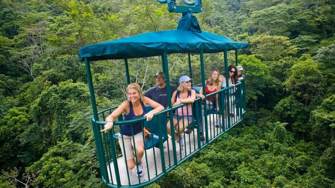 Zipline and Aerial Tram Rainforest Tour