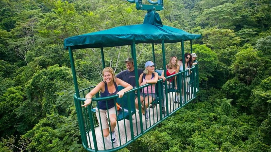 Zipline and Aerial Tram Rainforest Tour