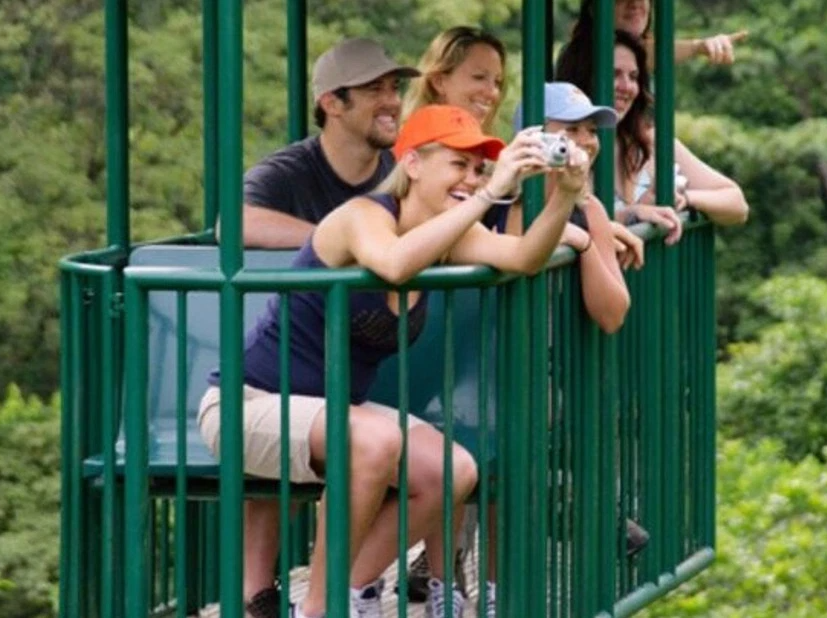 Zipline and Aerial Tram Rainforest Tour