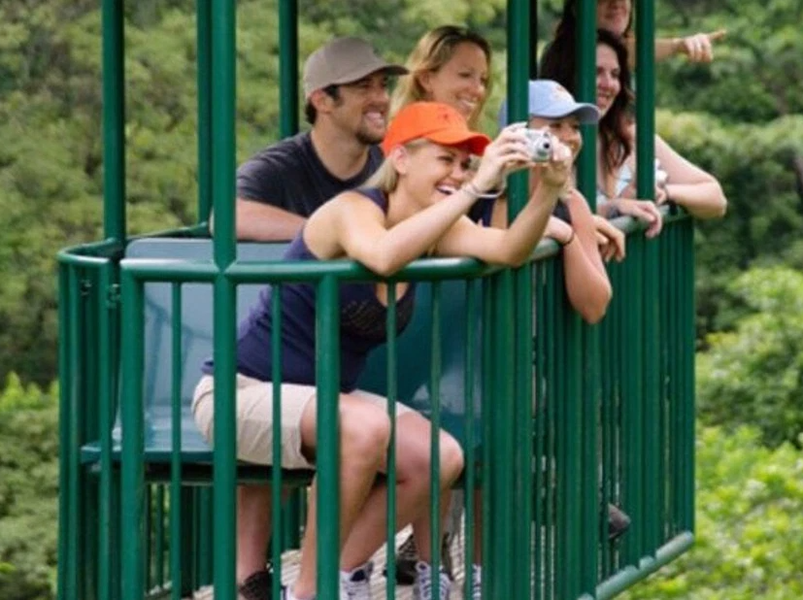 Zipline and Aerial Tram Rainforest Tour