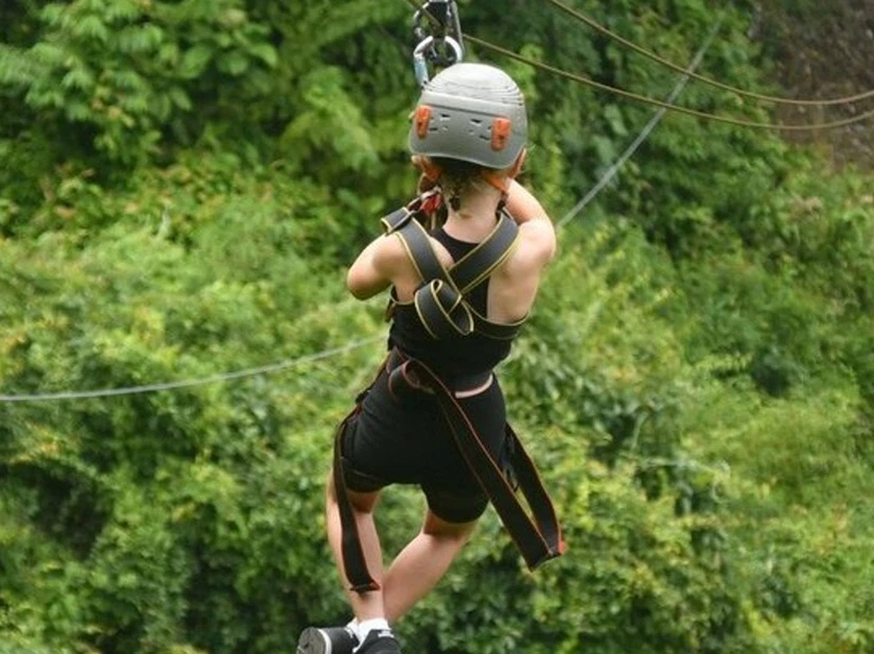 Zipline and Aerial Tram Rainforest Tour