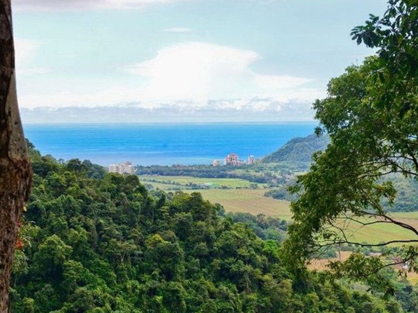 Jacó Rainforest Aerial Tram Tour