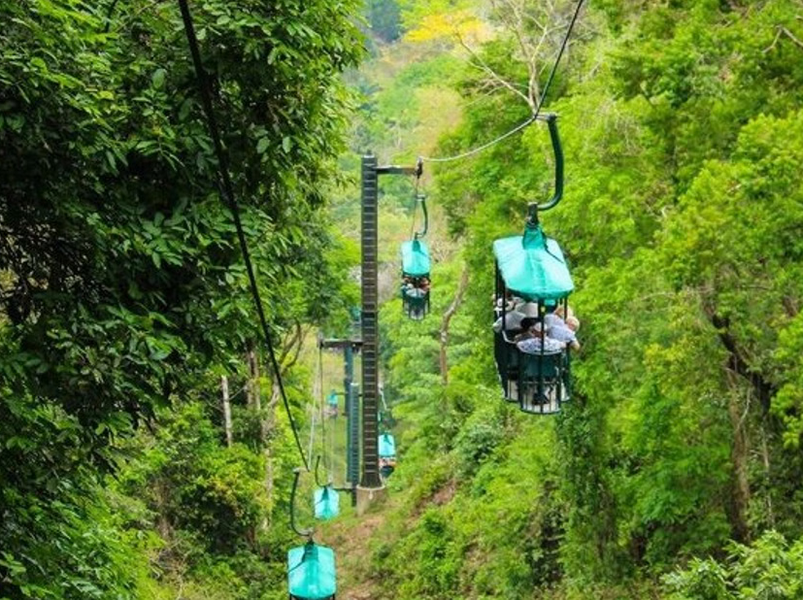 Jacó Rainforest Aerial Tram Tour