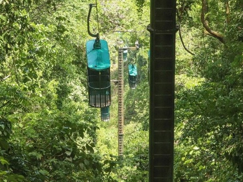Jacó Rainforest Aerial Tram Tour