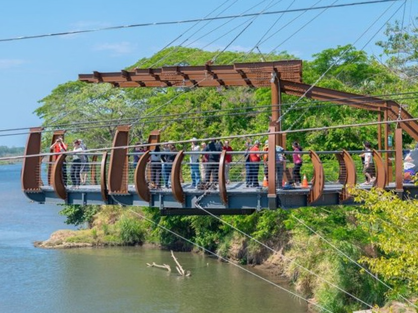 Coffee Tour and Crocs Skywalk Tour