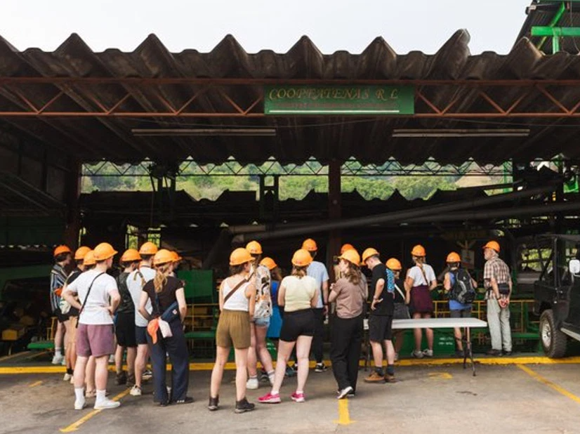 Coffee Tour and Crocs Skywalk Tour