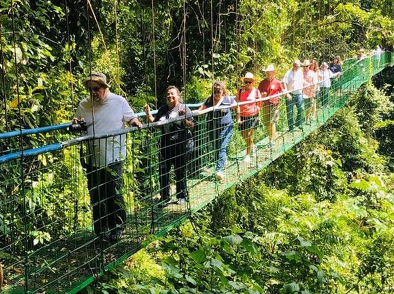 Rainforest, Hanging Bridges, and Crocodile Boat Tour