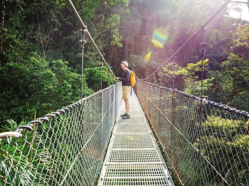 Rainforest, Hanging Bridges, and Crocodile Boat Tour