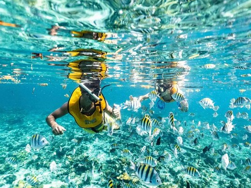 5-in-1 Snorkeling Tour with MUSA, Shipwreck, and Cenotes