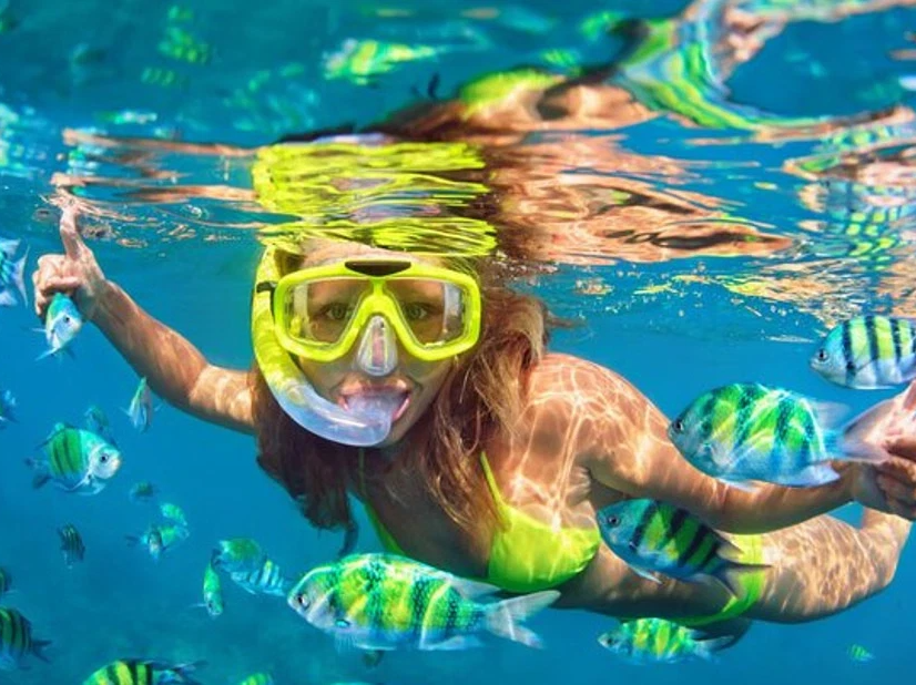 5-in-1 Snorkeling Tour with MUSA, Shipwreck, and Cenotes