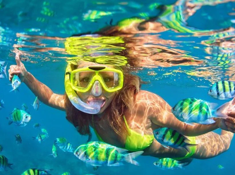 5-in-1 Snorkeling Tour with MUSA, Shipwreck, and Cenotes