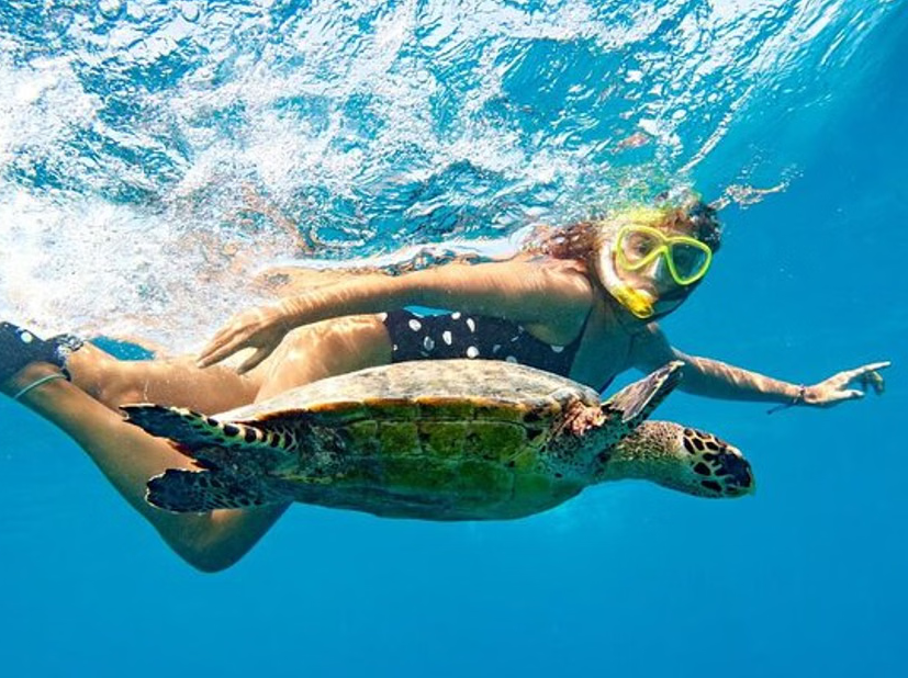 5-in-1 Snorkeling Tour with MUSA, Shipwreck, and Cenotes
