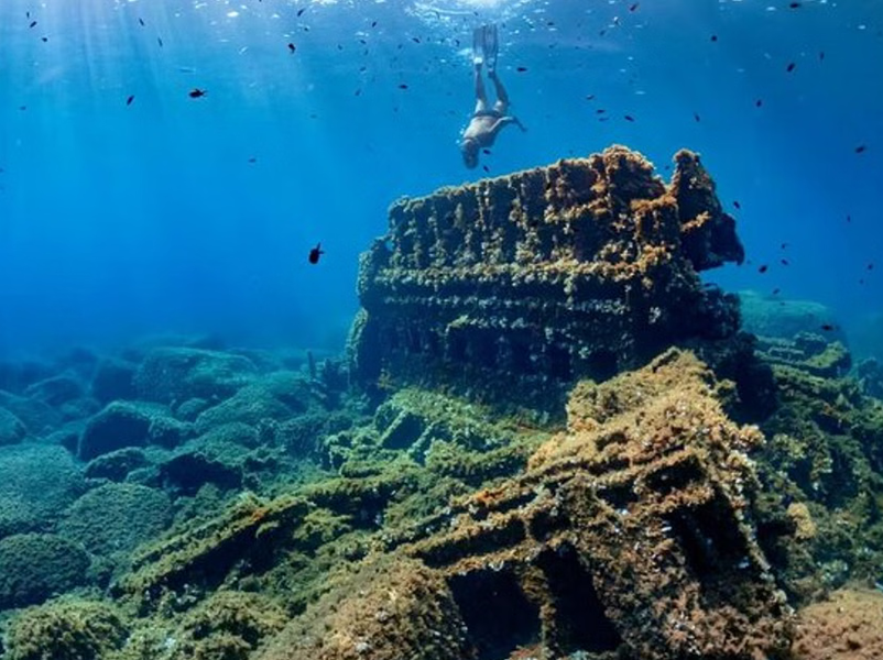 5-in-1 Snorkeling Tour with MUSA, Shipwreck, and Cenotes