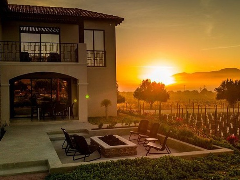 Valle de Guadalupe Vineyard Wagon Tour and Wine Tasting
