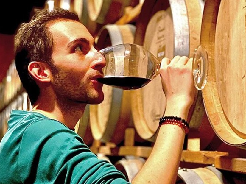 Valle de Guadalupe Vineyard Wagon Tour and Wine Tasting