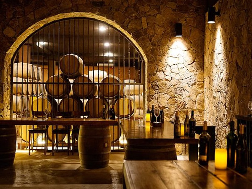 Valle de Guadalupe Vineyard Wagon Tour and Wine Tasting