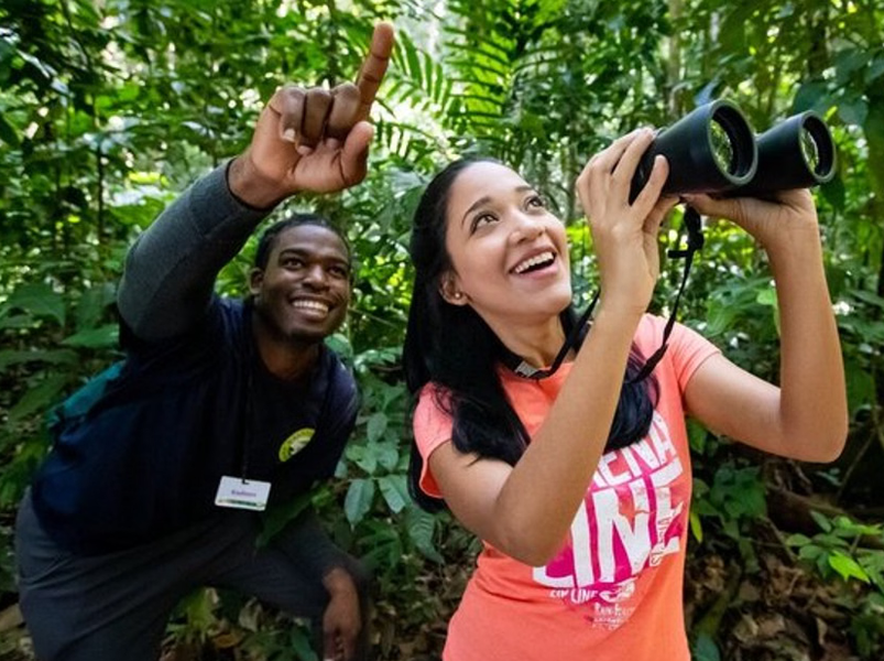 Sunrise Birdwatching and Rainforest Hike with Breakfast